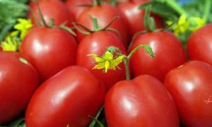 Замораживаем свежие помидоры на зиму: простые правила